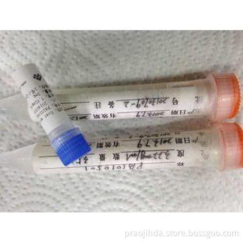 Anti - HBcAg Mouse Mab Hybridoma Monoclonal Antibody For IV